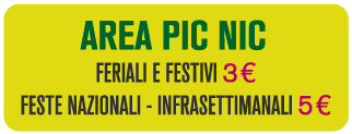 AREA-PIC-NIC_